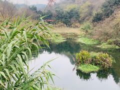 -重庆园博园