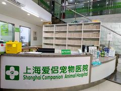 -爱侣宠医·鹦鹉专科·小型哺乳类·异宠专科(灵石路店)