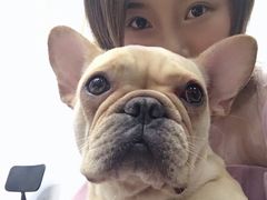 -柯斗斗主题餐厅·狗咖·围炉煮茶·茶饮(国瑞升平里店)