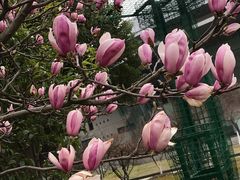 -江南大学(蠡湖校区)