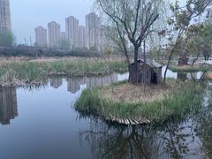 -前关湿地公园