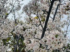 -外高桥保税区南(地铁站)