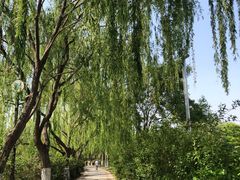 -南翠屏公园