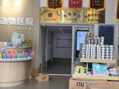 -宠颐生动物医院·猫科·心脏科(海口分院)