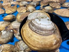 -川骄海鲜自助(河东店)