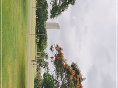 -万绿园
