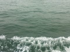 -澳门环岛游湾仔码头