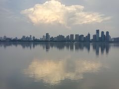 -秋水广场音乐喷泉