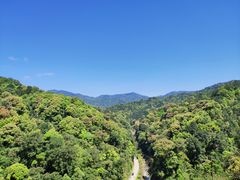 -九龙江国家森林公园