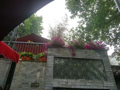 -院8里·少城记忆老川菜(宽窄巷子店)