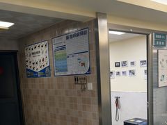 -动物缘宠物医院·骨科·猫科(西二环店)