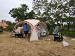 -春花秋色城市公园