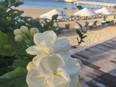 -亚龙湾海底世界