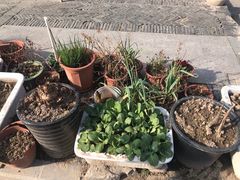-三林塘老街