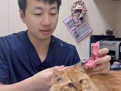 -美联众合爱康动物医院•复杂内科•肿瘤科•牙科•腔镜诊疗中心