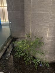 -美壹生皮肤管理中心