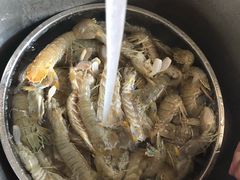 虾爬子-盒马X会员店(王府井奥莱UP TOWN店)