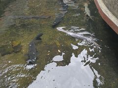 -侠成水上农庄(工业大道店)