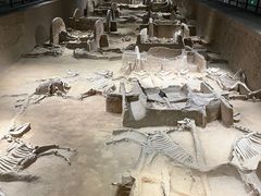 -洛阳周王城天子驾六博物馆