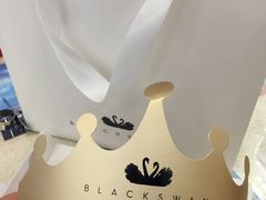 -BLACKSWAN黑天鹅(环球店)