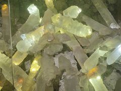 -湖南省地质博物馆