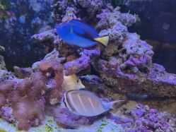 -Zoolung Zoolung动物主题公园(海信广场店)