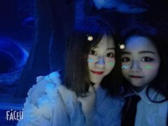 -成都浩海立方海洋公园