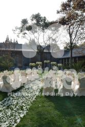 -M'S BANQUET AND SPACE ART