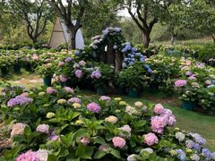 -名花谷生态庄园