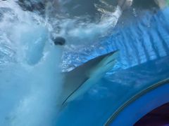 -常州海昌海洋探索馆