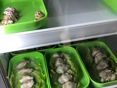-蚝专家