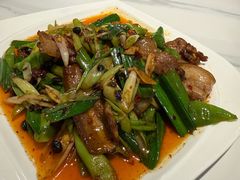 土猪回锅肉-金熊猫川菜餐厅