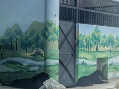 -昆明动物园