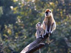 -杭州野生动物世界