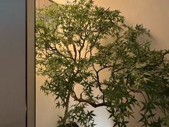 -玖五京菜(杭州城北万象城店)