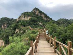 -大岭沟猕猴桃谷风景区