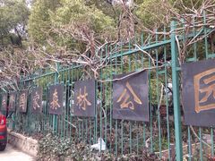 iphone_upload_pic-共青国家森林公园-南大门停车场