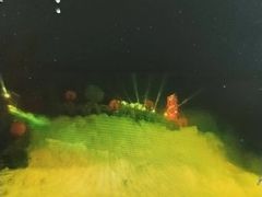 -《神游传奇》秀