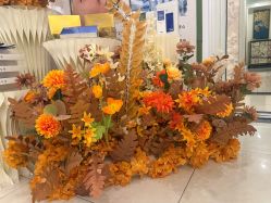 -香秀空间科技抗衰·美容中心