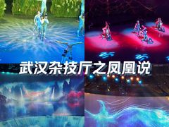 -武汉杂技厅