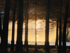 -合肥滨湖国家森林公园