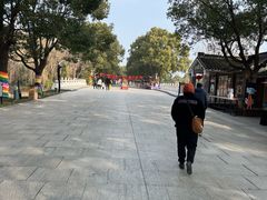 -溱湖国家湿地公园