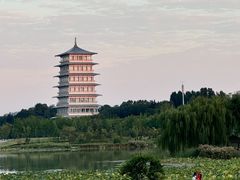 -西安世博园