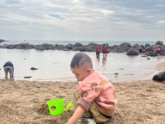-广东惠东海龟国家级自然保护区
