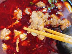 三黄鸡-佘记全家福芋儿鸡(向阳街总店)
