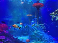 -沈阳海洋探索中心