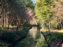 -同里国家湿地公园