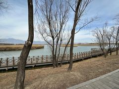 -野鸭湖国家湿地公园