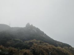 -枸杞岛