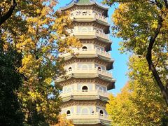 -灵谷景区